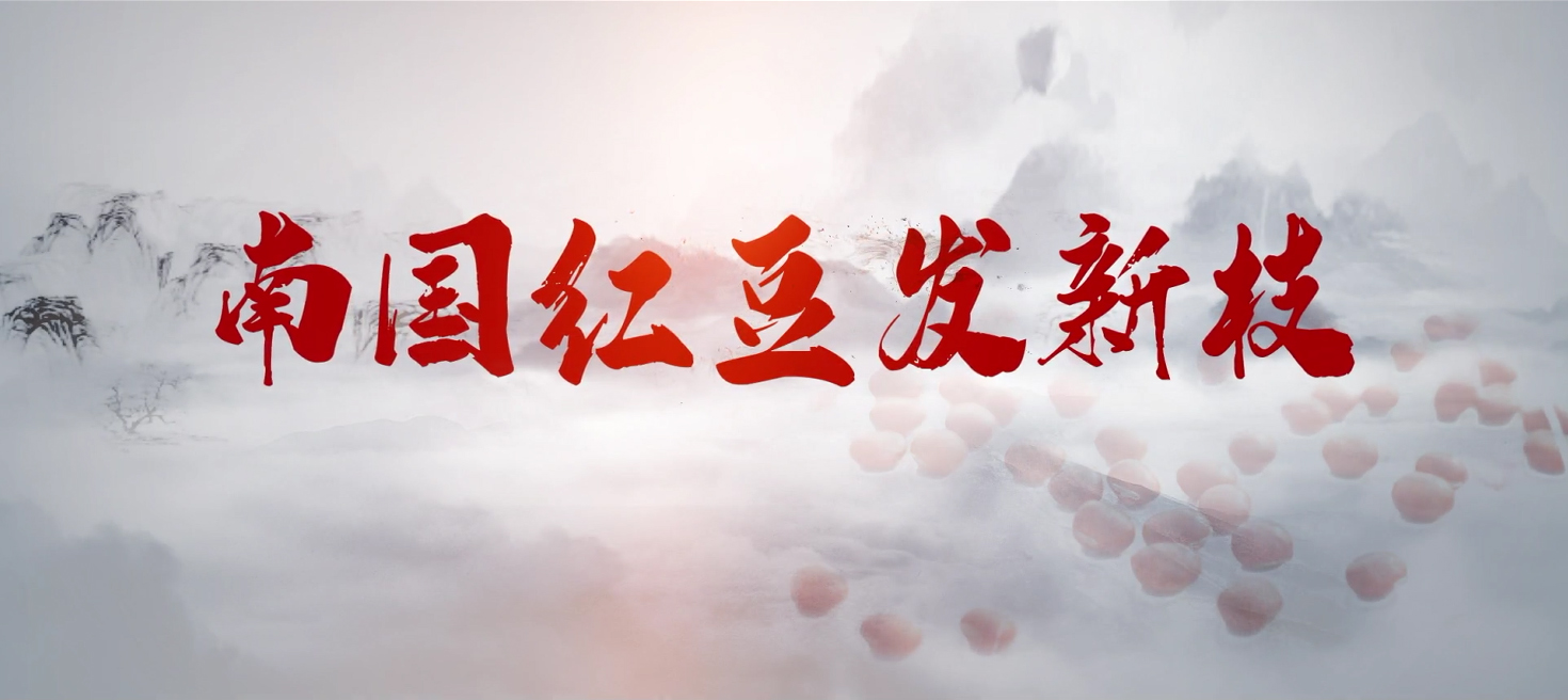 南国人生就是博发新枝