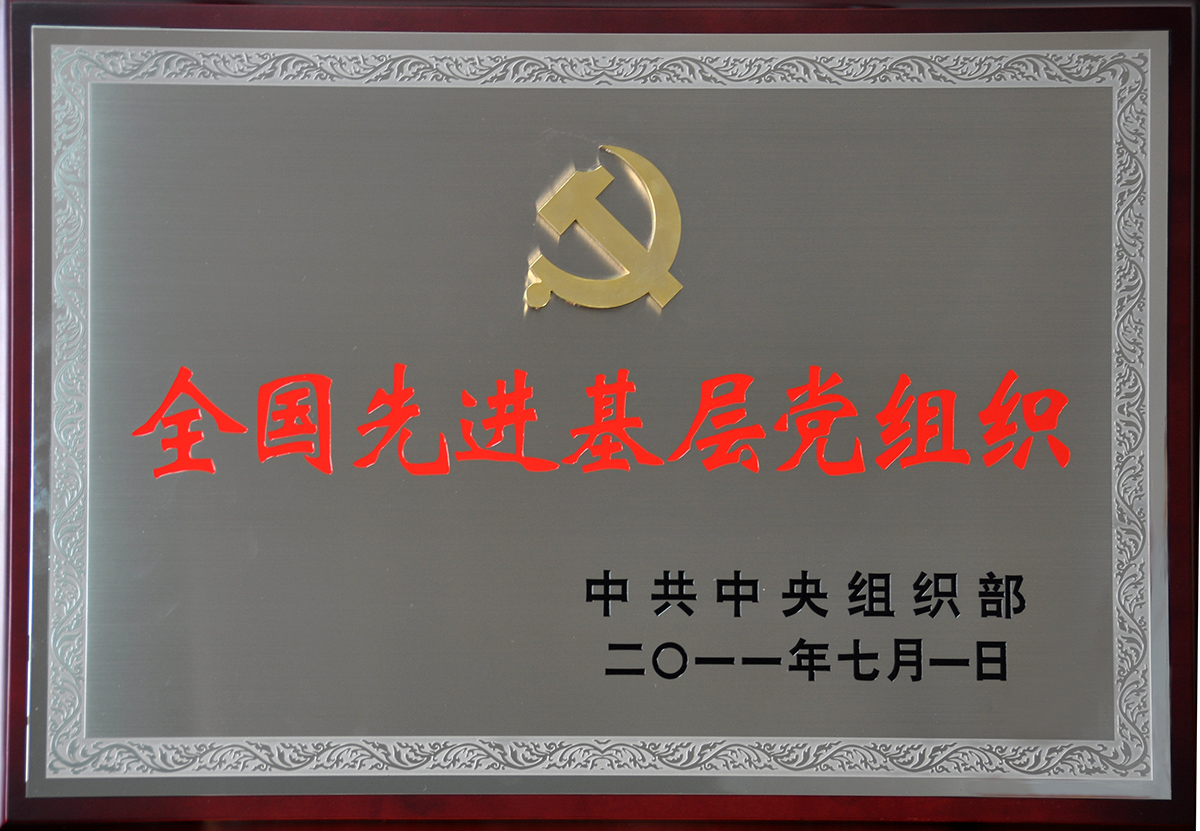 2011年7月，人生就是博集团党委荣获“全国先进基层党组织”称号